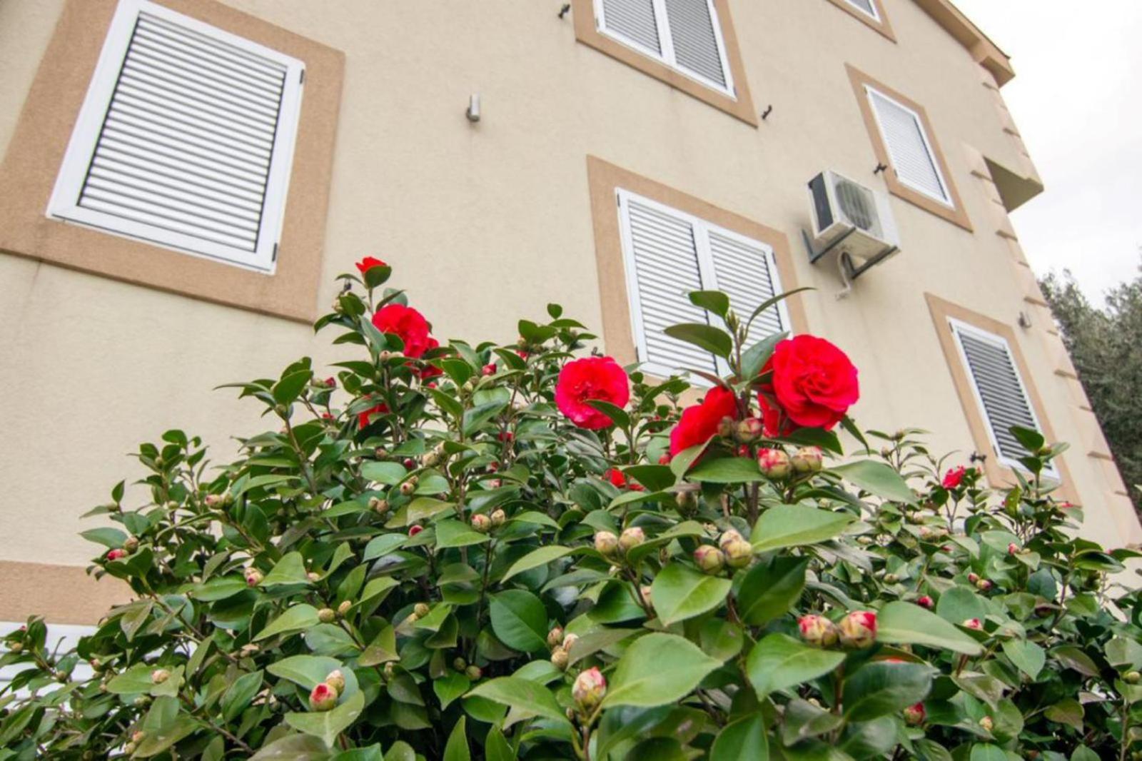 Apartments Savic Herceg Novi Exterior photo